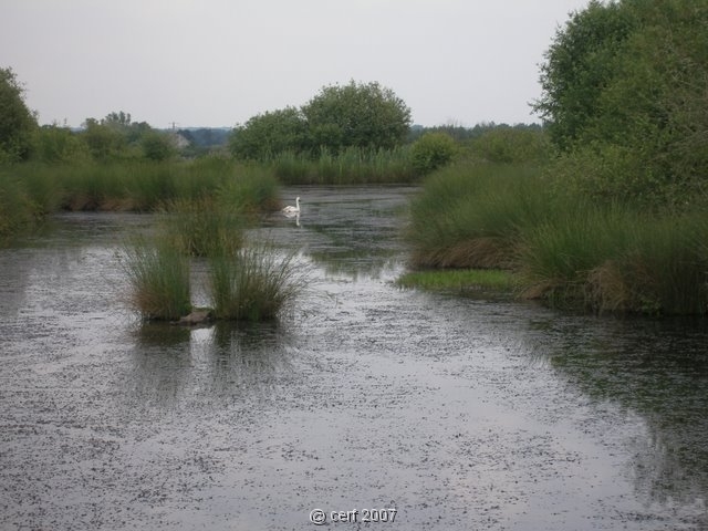 2007 05 Séjour en Brenne 027